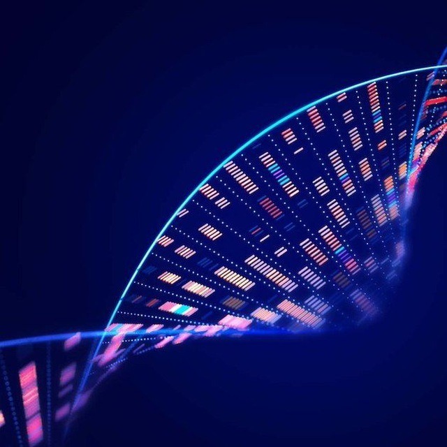 تشخیص داروی شیمی درمانی موثر برای مبتلایان به سرطان بر اساس پردازش داده های ژنتیک